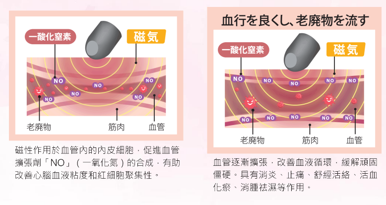 活氧磁療原理圖示：磁力激導一氧化氮合成，促進血液循環與血管擴張，有效緩解肌肉疼痛、肩頸僵硬及排走老廢物。