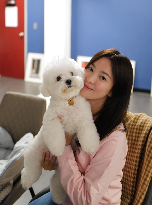 韓國女星宋慧喬展示白皙透亮肌膚並抱著白色比熊犬，分享明星創意美白護膚心得。