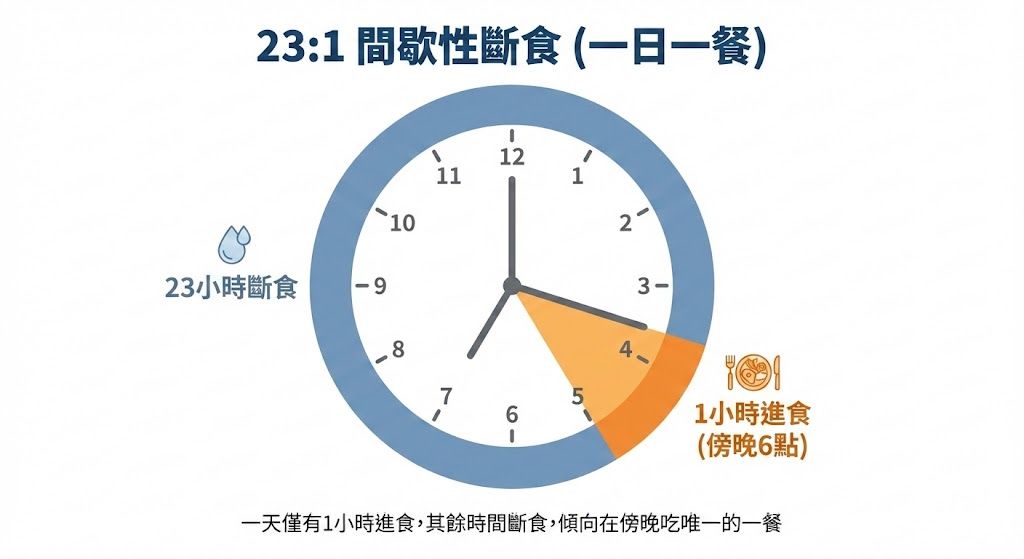 23:1間歇性斷食一日一餐時鐘圖解，標示23小時斷食與1小時進食時間分配。