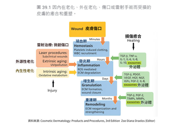 Beauty100-magazine分析外泌體在皮膚修復及傷口癒合四階段的原理，展示醫美雷射後的重塑過程。